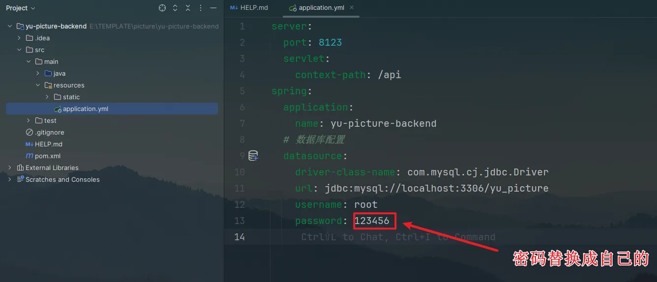 image-20250206172631472