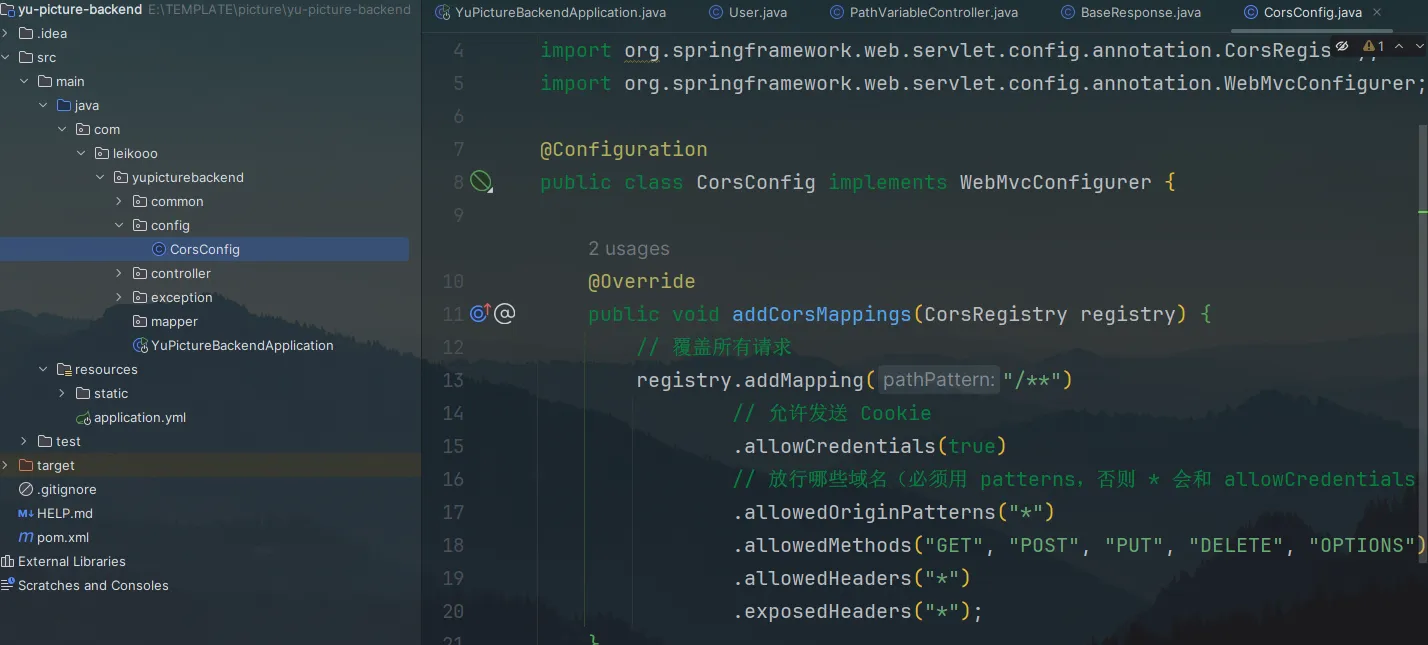 image-20250206183525301