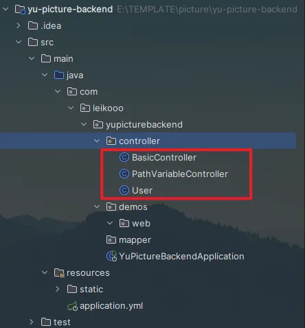 image-20250206180616280