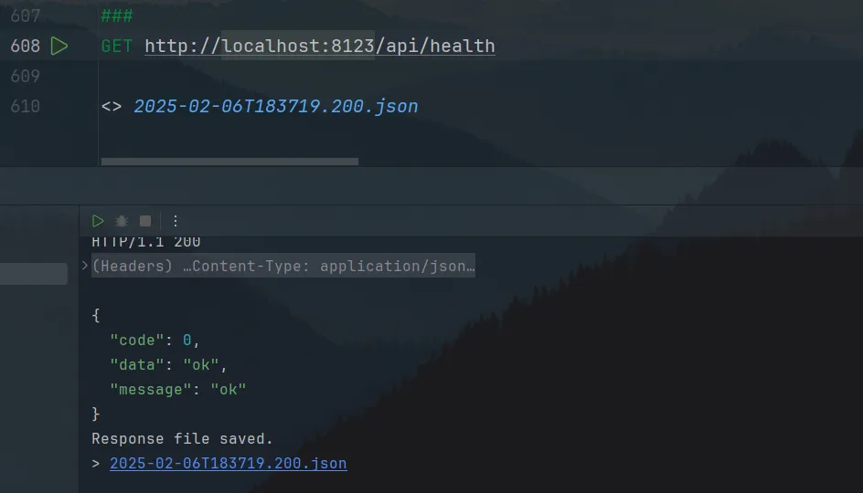 image-20250206183736180